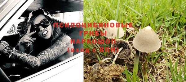 мдпв Дубовка