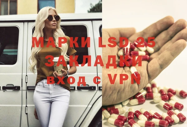 шишки Заволжск