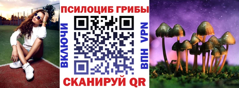 Псилоцибиновые грибы мицелий  где купить   Истра 