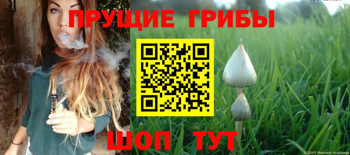 Псилоцибиновые грибы прущие грибы  где купить наркоту  Истра  Галлюциногенные грибы MAGIC MUSHROOMS  Вход с VPN 
